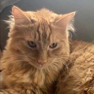 Meet your Posher, Tim